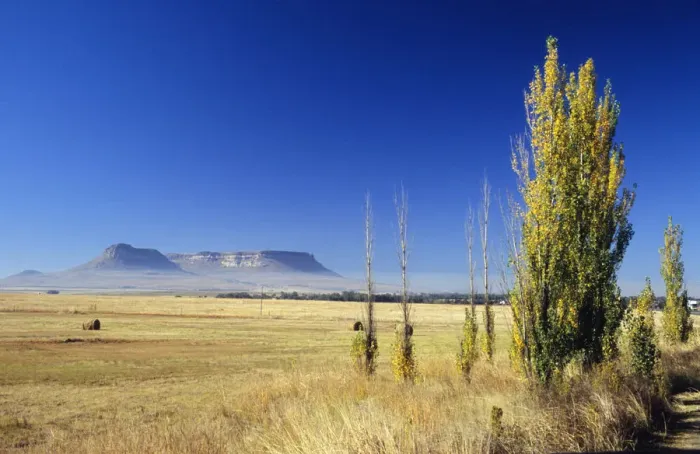 Framed Print : Agriculture, Blue, Clear Sky, Color Image, Crop, Cultivated, Day, Farm, Field, Free State Province Framed Print : Agriculture, Blue, Clear Sky, Color Image, Crop, Cultivated, Day, Farm, Field, Free State Province