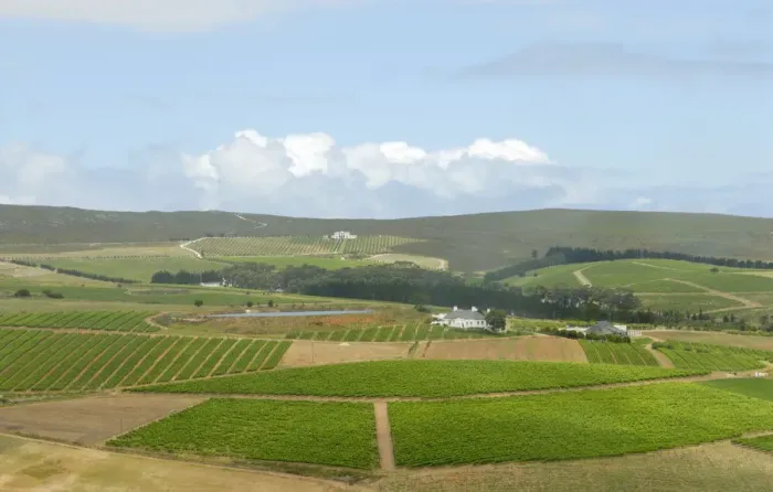 Framed Print : Agriculture, Cloud, Cultivated, Field, Green, Hemel-En-Aarde Valley, Hermanus, Horizon Over Land Framed Print : Agriculture, Cloud, Cultivated, Field, Green, Hemel-En-Aarde Valley, Hermanus, Horizon Over Land