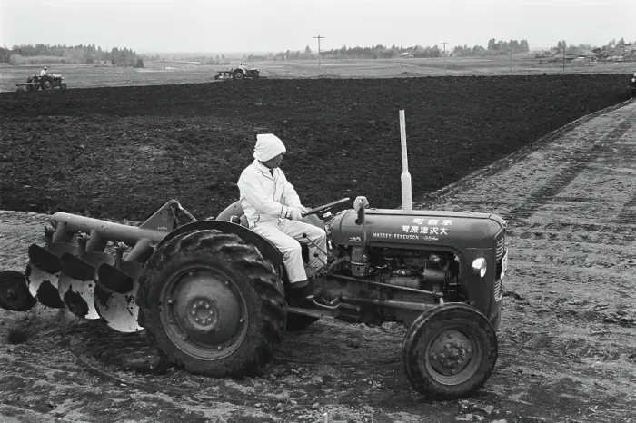 Framed Print : Agriculture In Japan Framed Print : Agriculture In Japan