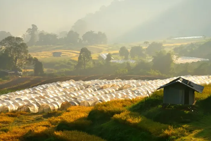 Framed Print : Agriculture on the mountain, Mae Klang Luang Framed Print : Agriculture on the mountain, Mae Klang Luang