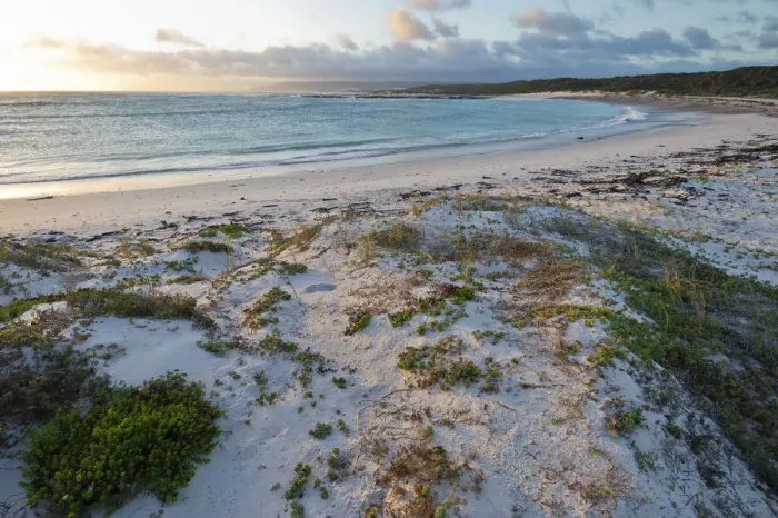 Framed Print : agulhas national park, beach, coastline, color image, day, dusk, horizontal, landscape