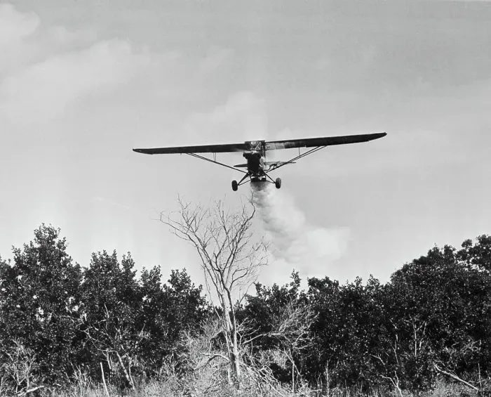 Framed Print : Airplane Dusting Insecticide Over Trees Framed Print : Airplane Dusting Insecticide Over Trees