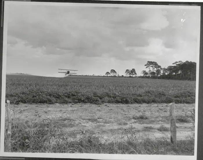 Framed Print : Airplane Spraying Crops Framed Print : Airplane Spraying Crops