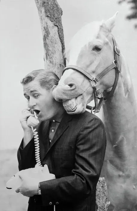 : Alan Young with Mister Ed Talking on Telephone : Alan Young with Mister Ed Talking on Telephone