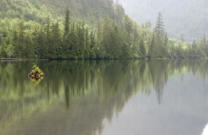 Framed Print : alaska, color image, day, forest, horizontal, lake, landscape, lush foliage, no people Framed Print : alaska, color image, day, forest, horizontal, lake, landscape, lush foliage, no people
