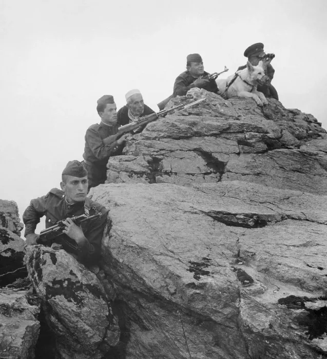 Framed Print : Albanian Soldiers and Watch Dog on Guard Atop Large Rock Framed Print : Albanian Soldiers and Watch Dog on Guard Atop Large Rock
