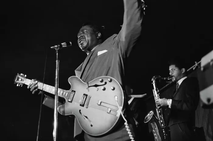 Framed Print : Albert King Framed Print : Albert King