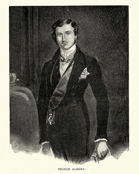 Albert, Prince Consort