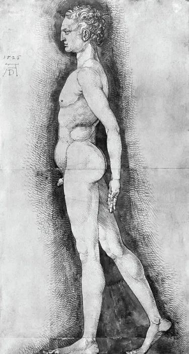 Framed Print : Albrecht Durer Study of Male Anatomy Framed Print : Albrecht Durer Study of Male Anatomy