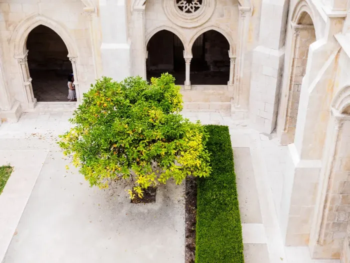 Framed Print : Alcobaca Monaster Cloister 02 Framed Print : Alcobaca Monaster Cloister 02
