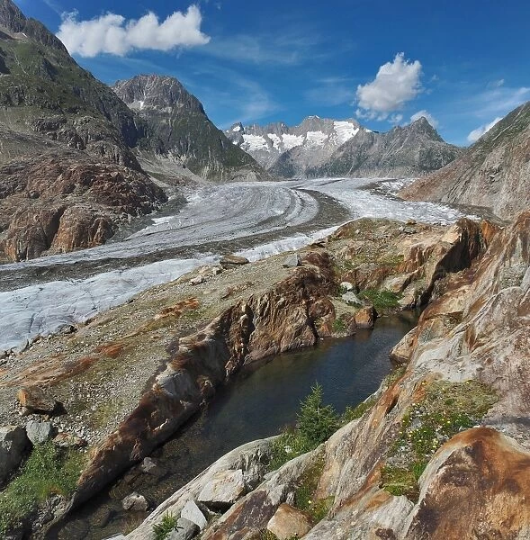 Aletsch Glacier With Green Lakelet On The Terminal Moraine