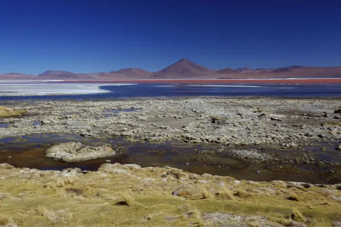 Framed Print : algae, altiplano, beauty in nature, bolivia, color image, colour image, copy space Framed Print : algae, altiplano, beauty in nature, bolivia, color image, colour image, copy space