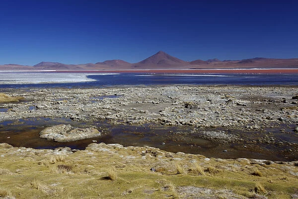 algae, altiplano, beauty in nature, bolivia, color image, colour image, copy space