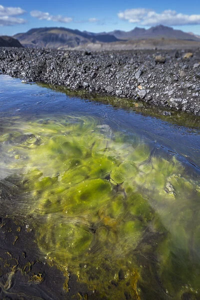 Algae in glacial river, Thorsmork, Iceland