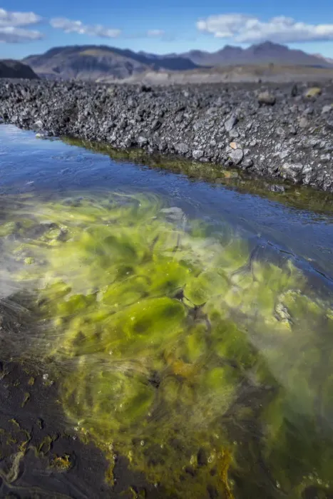 Framed Print : Algae in glacial river, Thorsmork, Iceland