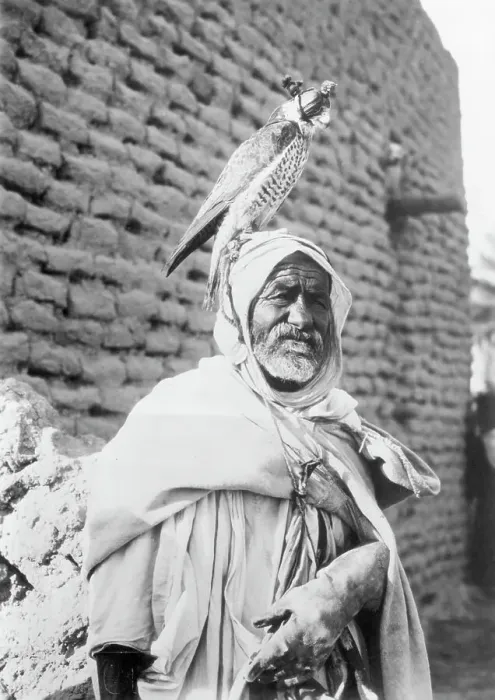 Framed Print : Algerian Falconer Holding Falcon on his Head