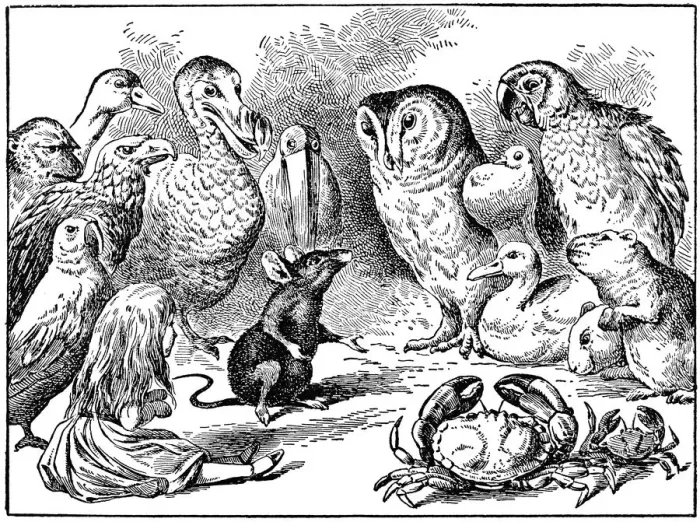 Framed Print : Alice and Birds, Alices Adventures in Wonderland Framed Print : Alice and Birds, Alices Adventures in Wonderland