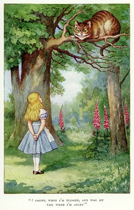 Framed Print : Alice and the Cheshire Cat Framed Print : Alice and the Cheshire Cat