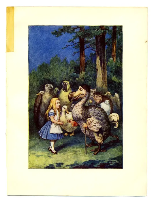 Framed Print : Alice and Dodo illustration, (Alices Adventures in Wonderland)