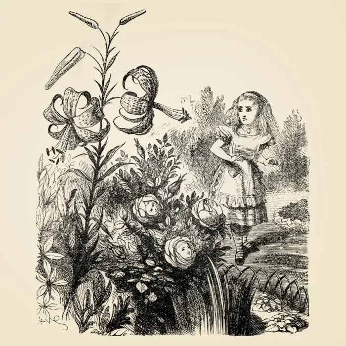 Framed Print : Alice and the flowers engraving 1899 Framed Print : Alice and the flowers engraving 1899