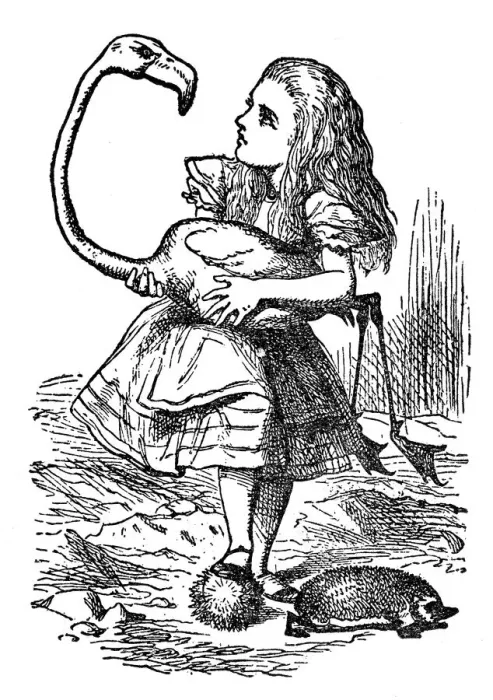 Framed Print : Alice holding a flamingo - Alice in Wonderland 1897 Framed Print : Alice holding a flamingo - Alice in Wonderland 1897