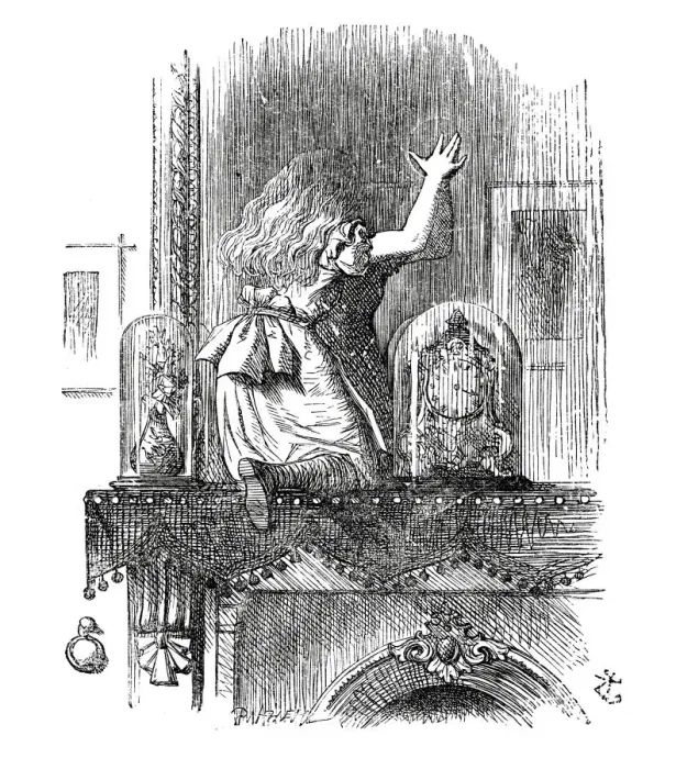 Framed Print : Alice through the looking glass Framed Print : Alice through the looking glass