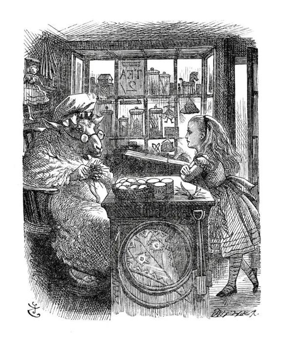 Framed Print : Alice through the looking glass