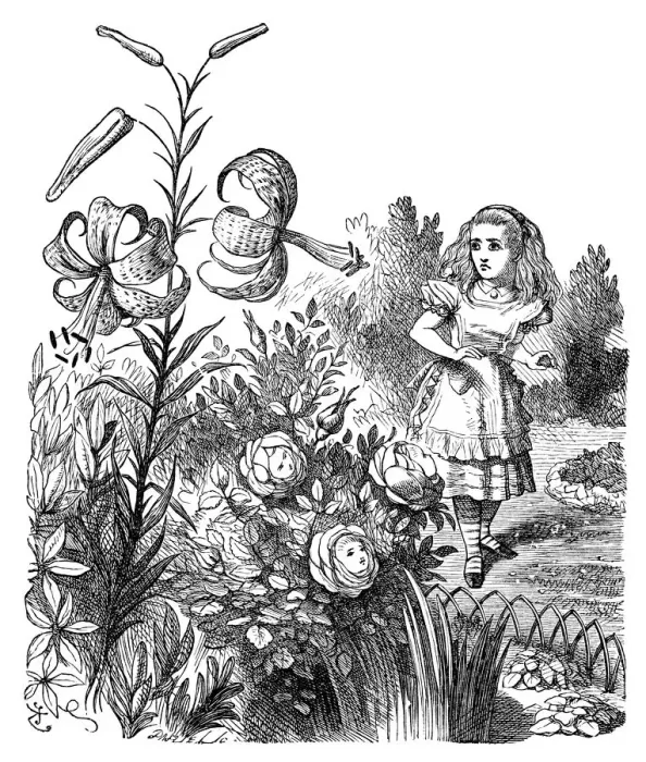 Framed Print : Alice through the looking glass Framed Print : Alice through the looking glass