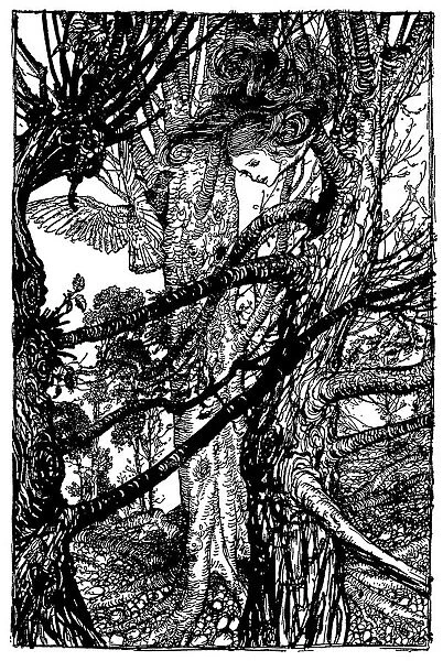 Alice looking out of tree illustration, (Alices Adventures in Wonderland)