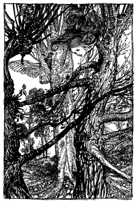 Framed Print : Alice looking out of tree illustration, (Alices Adventures in Wonderland) Framed Print : Alice looking out of tree illustration, (Alices Adventures in Wonderland)