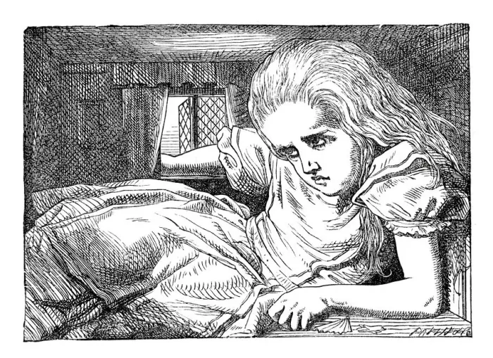 Framed Print : Alice in Wonderland