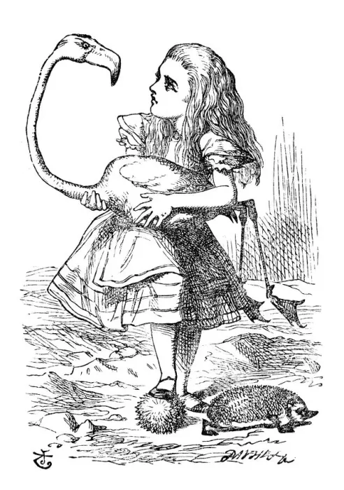 Framed Print : Alice in Wonderland
