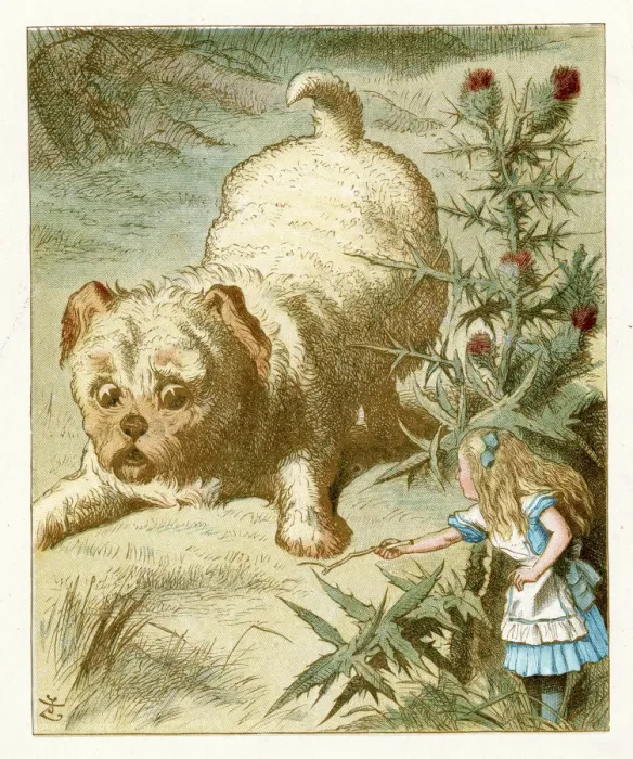 Framed Print : Alice in Wonderland Framed Print : Alice in Wonderland