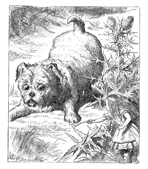 Framed Print : Alice in Wonderland Framed Print : Alice in Wonderland