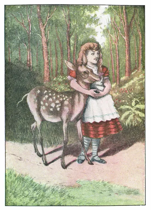 Framed Print : Alice in the Wood Where Things Have No Names in Through the Looking-Glass Framed Print : Alice in the Wood Where Things Have No Names in Through the Looking-Glass