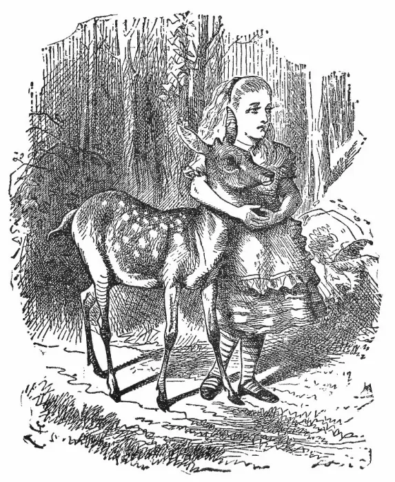 Framed Print : Alice in the Wood Where Things Have No Names in Through the Looking-Glass Framed Print : Alice in the Wood Where Things Have No Names in Through the Looking-Glass