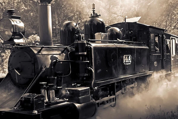 Its Alive. The iconic steam train from the Dandenong Ranges