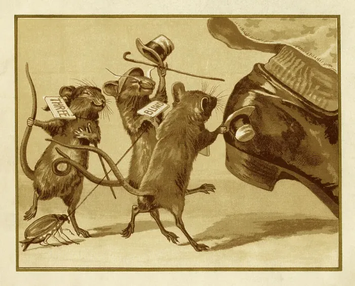 Framed Print : They all ran after the farmer's wife Framed Print : They all ran after the farmer's wife