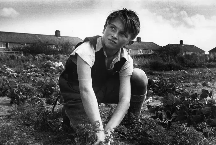 Framed Print : Allotment Worker