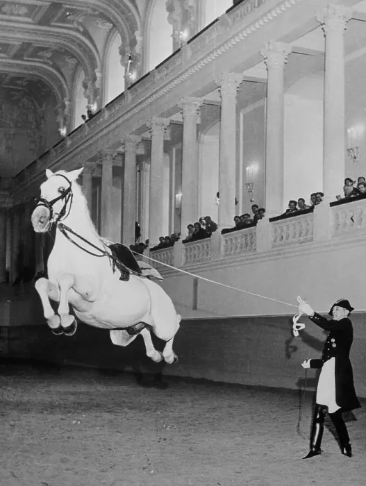 Framed Print : Alois Podhajsky and his Lipizzaner Stallions Framed Print : Alois Podhajsky and his Lipizzaner Stallions