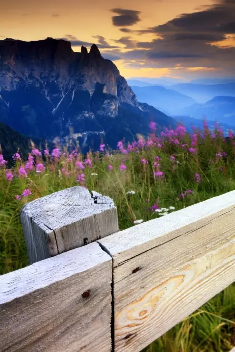 Framed Print : Alpe di Siusi, Dolomites Framed Print : Alpe di Siusi, Dolomites