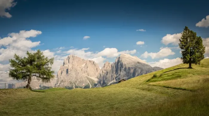 Framed Print : Alpe Di Siusi (Seiser Alm), Dolomites, Italy Framed Print : Alpe Di Siusi (Seiser Alm), Dolomites, Italy