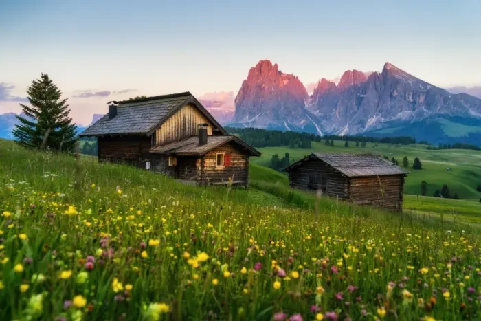 Framed Print : Alpe Di Siusi (Seiser Alm), Dolomites, Italy