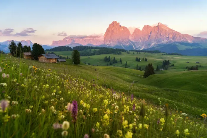 Framed Print : Alpe Di Siusi (Seiser Alm), Dolomites, Italy Framed Print : Alpe Di Siusi (Seiser Alm), Dolomites, Italy