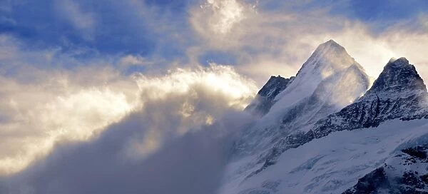 alpen, alpine, alps, atmospheric, bernese alps, break of dawn, canton of bern, cloudy