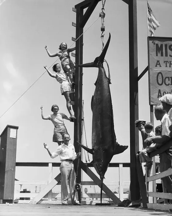 Framed Print : Alphonse Hemann Poses with Giant Swordfish Framed Print : Alphonse Hemann Poses with Giant Swordfish