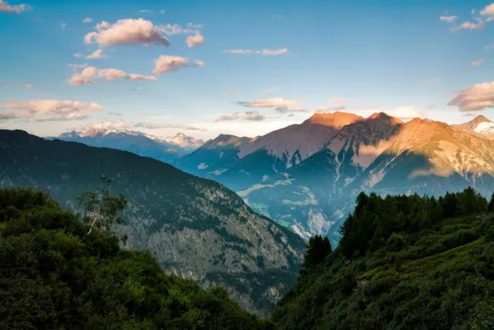 Framed Print : Alpine Light