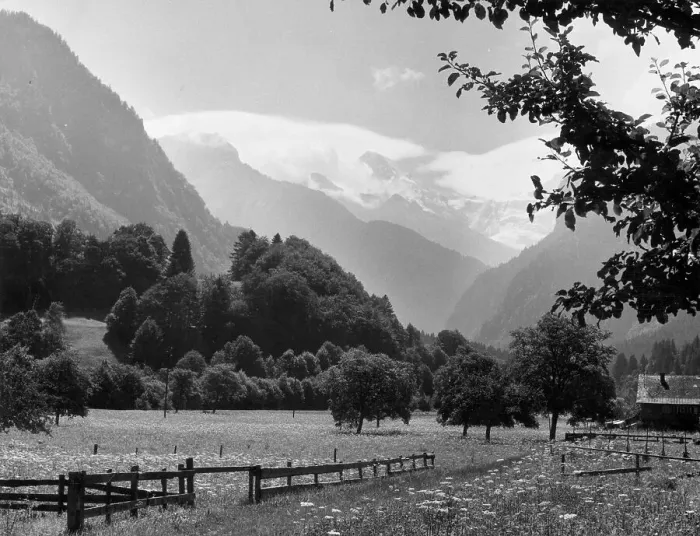 Framed Print : Alpine Valley Framed Print : Alpine Valley