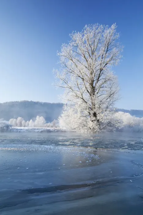 Framed Print : Altmuehl river near Kottingwoerth in winter, Altmuehltal valley, Bavaria, Germany, Europe