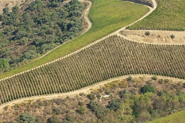 Alto Douro wine region, Portugal